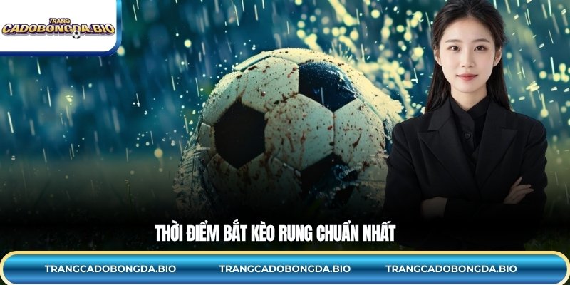 Thời điểm bắt kèo rung chuẩn nhất